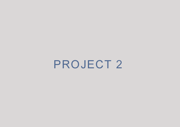 Project Name