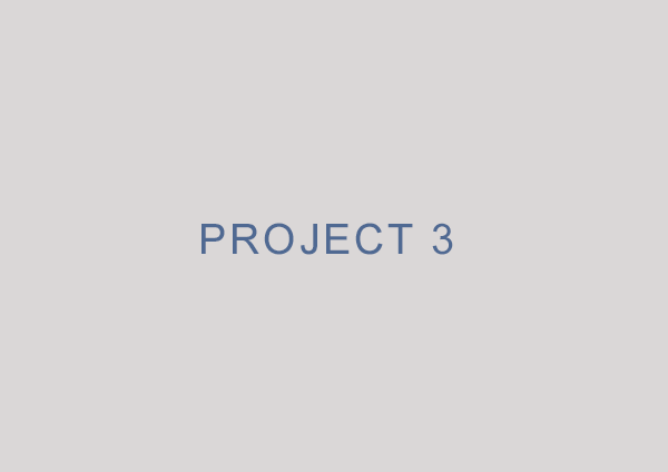 Project Name